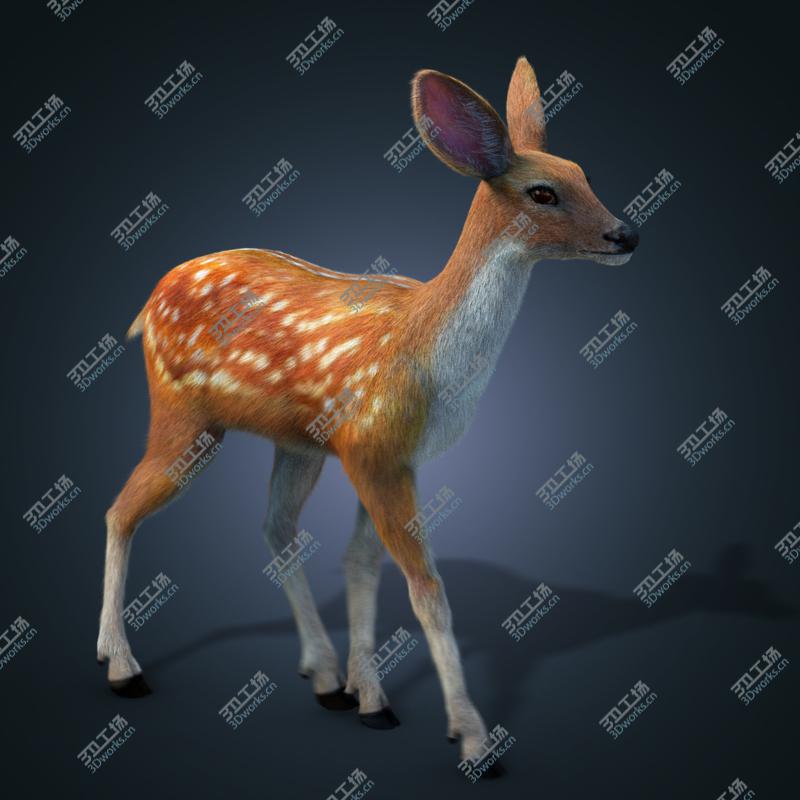 images/goods_img/2021040161/- sika deer FUR ANIMATED by/5.jpg